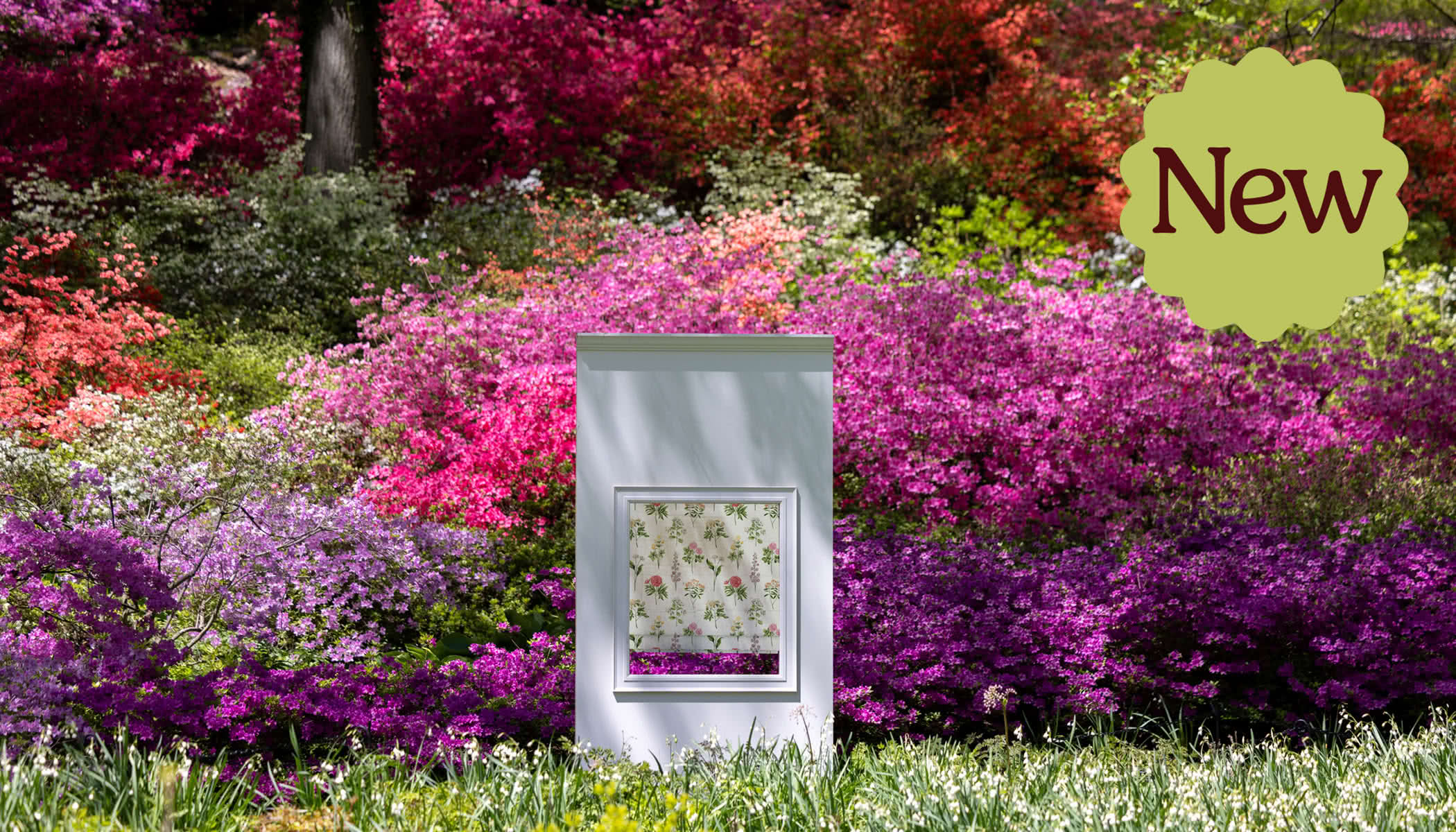 The New York Botanical Garden Blind Collection