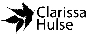 Clarissa Hulse Curtains