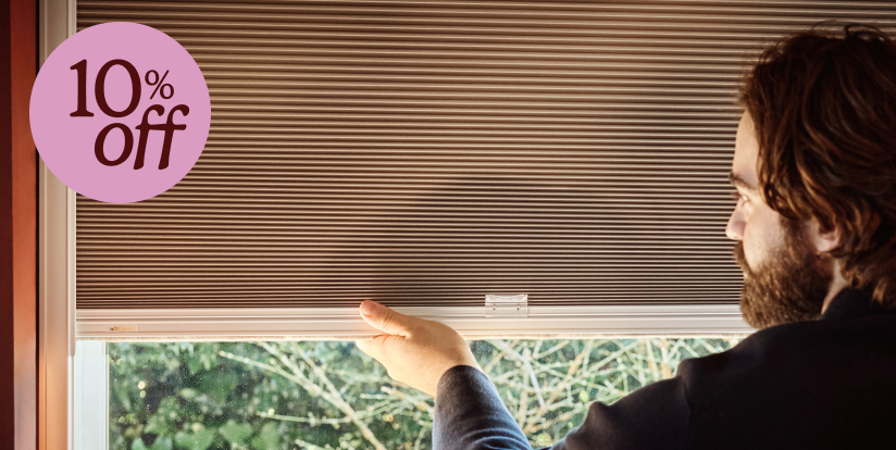 Pleated blinds