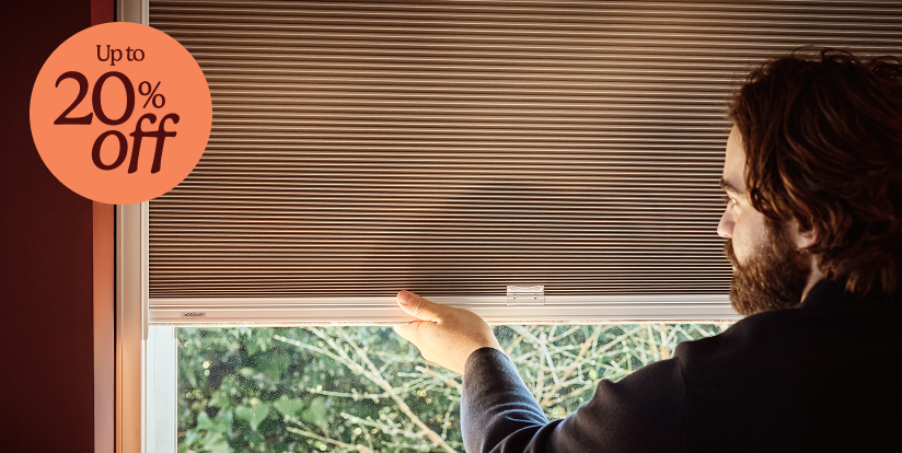 Pleated blinds