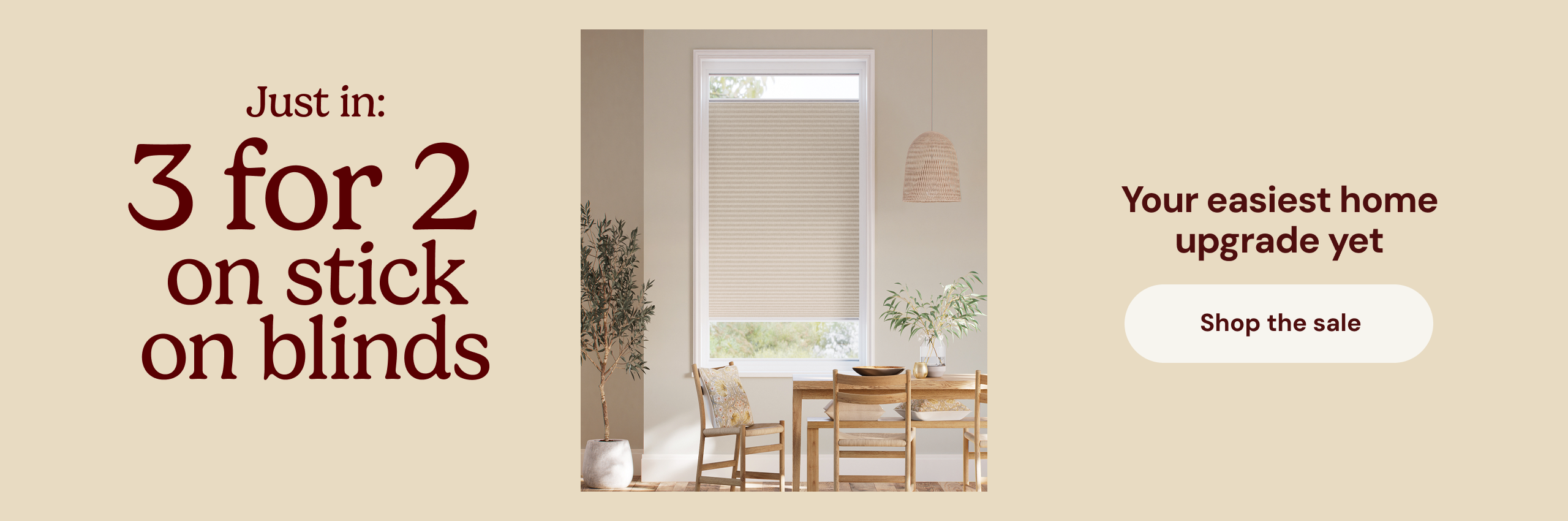 Blinds at Amazing Prices