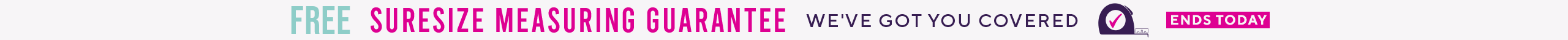 large offer snippet