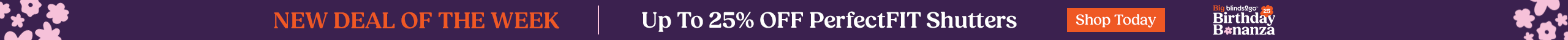 large offer snippet