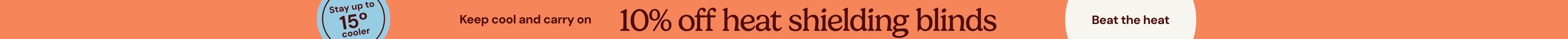 large offer snippet