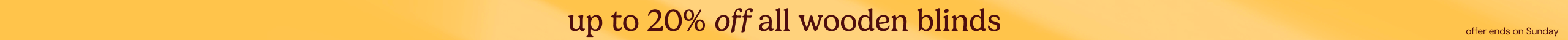 large offer snippet
