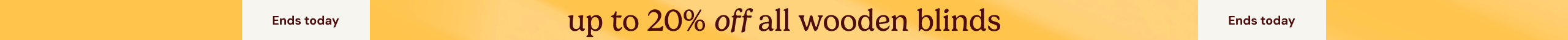 large offer snippet
