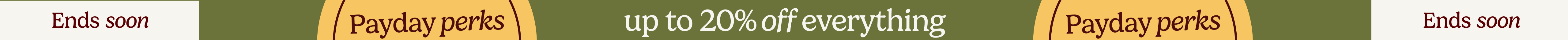 large offer snippet