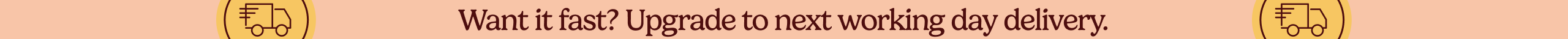 large offer snippet