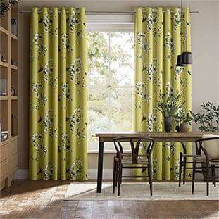 Amazilia Lime Curtains thumbnail image