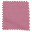 Electric Avalon Peony Pink Roller Blind swatch image