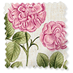 Botanical Etchings Fuchsia Roman Blind sample image