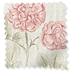 Botanical Etchings Rosewater Roman Blind sample image