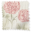 Botanical Etchings Rosewater swatch image