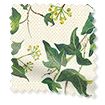 Choices Ivy Green Roller Blind swatch image