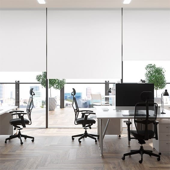 Contract Capital Blackout Bright White Roller Blind