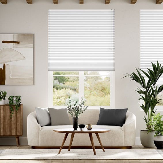 Double DuoShade Chalk Thermal Blind