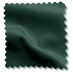 Fine Velvet Forest Green Curtains sample image