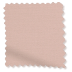 Florence Blackout Rosewater Roller Blind swatch image