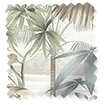 Mountain Palm Dawn Curtains swatch image