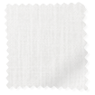 Pantone Wispy Clouds swatch image