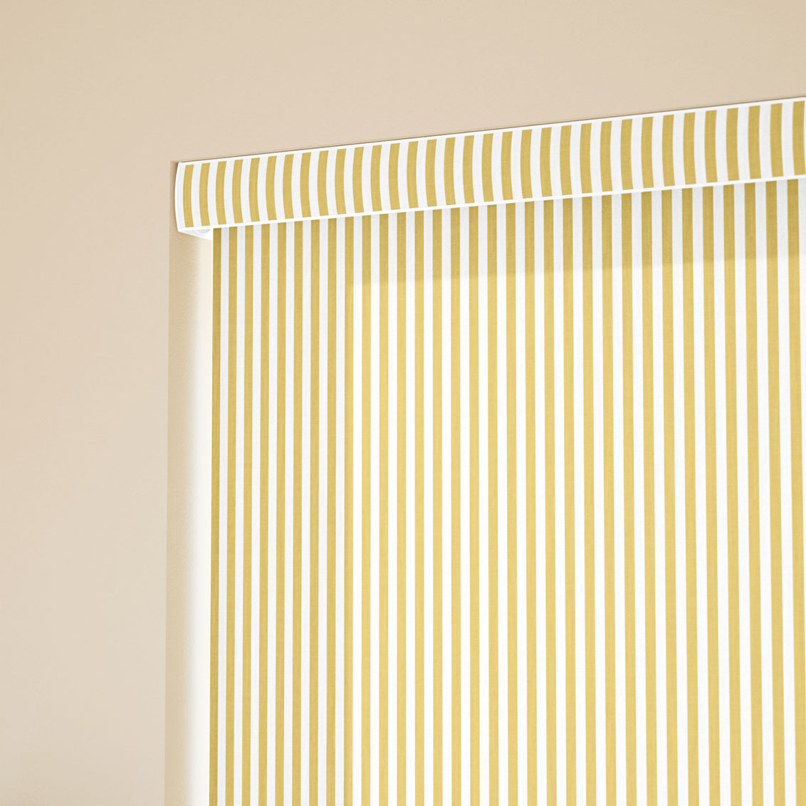 Pantone Cream Gold - Fine Stripe  Roller Blind