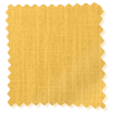 Pantone Mimosa swatch image