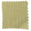 Pantone Leek Green Roller Blind sample image