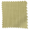 Pantone Leek Green swatch image