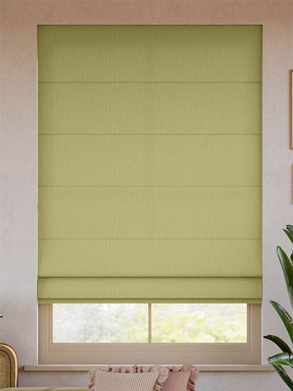 Pantone Leek Green Roman Blinds thumbnail image
