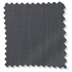 Pantone Iron Gate swatch image