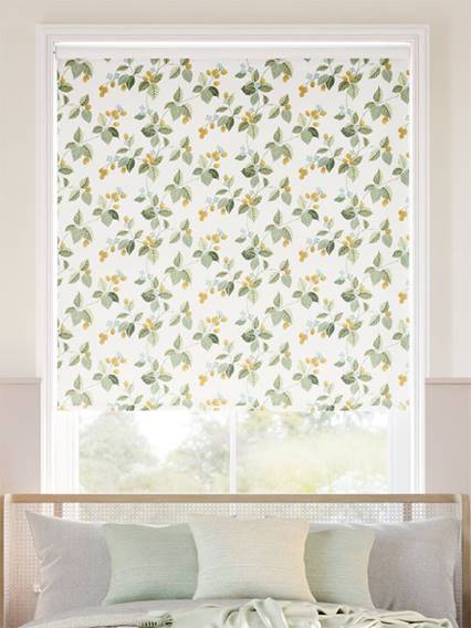 Twist2Go Rubus Traditional Green Roller Blind thumbnail image