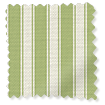 Tiger Stripe Yellow Green Roman Blind swatch image