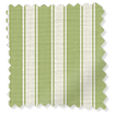 Tiger Stripe Yellow Green Roller Blind swatch image